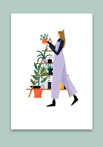 Image of The plant collector