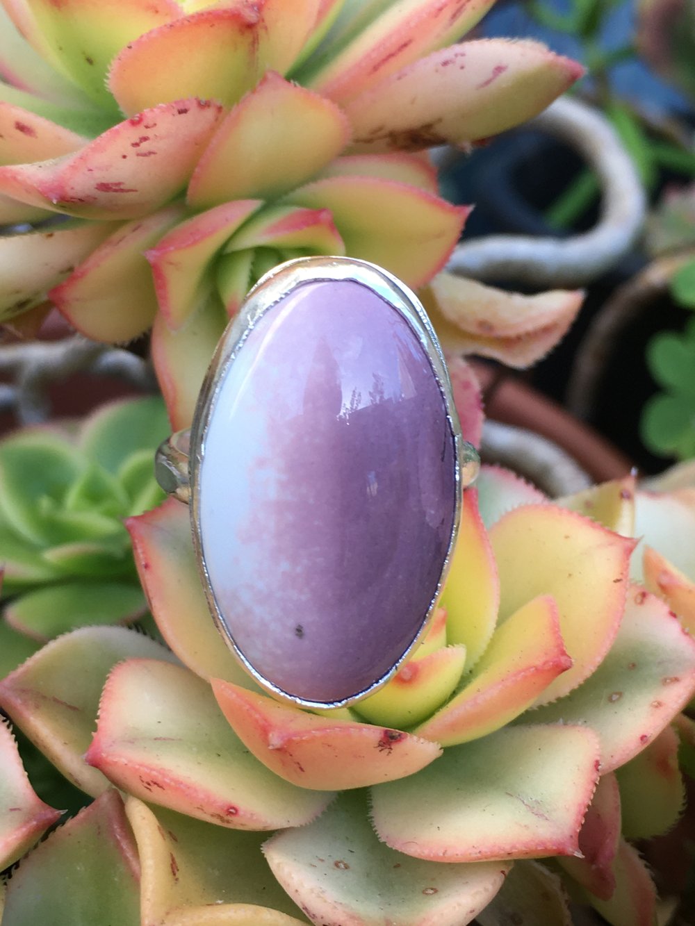 Image of Hyacinth Jasper & Silver Ring