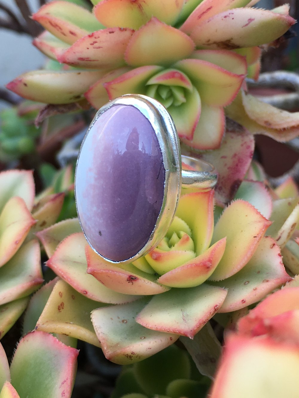 Image of Hyacinth Jasper & Silver Ring