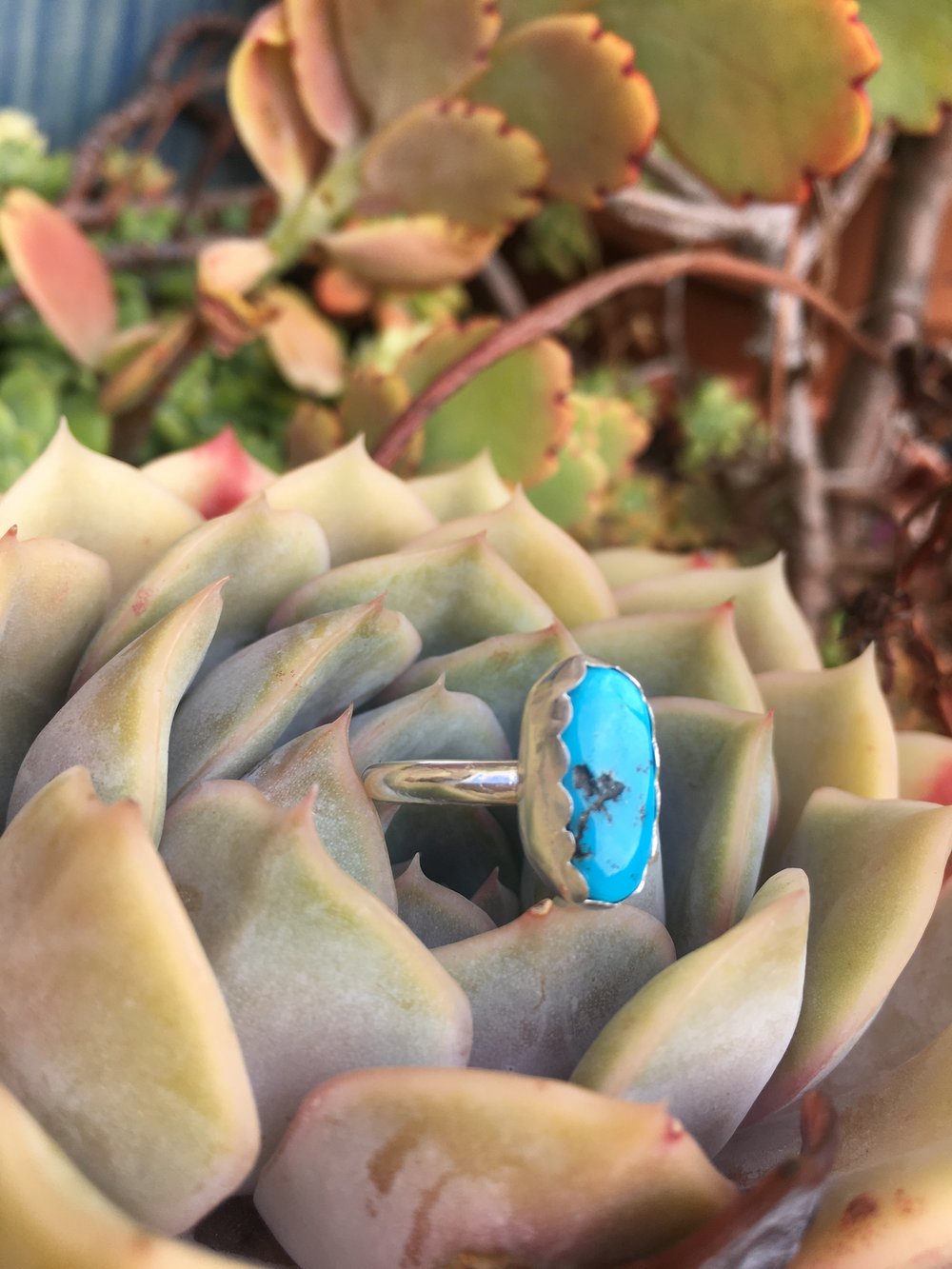 Image of Sleeping Beauty Turquoise & Silver Ring