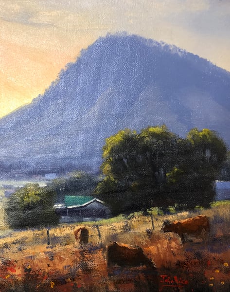 Image of Farm At Mt Frome