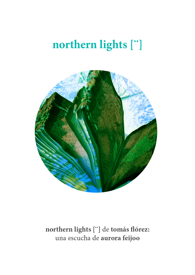 northern lights