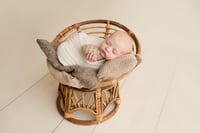 Image 2 of LUXE NEWBORN SESSION 