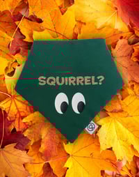 Image 1 of Squirrel? 