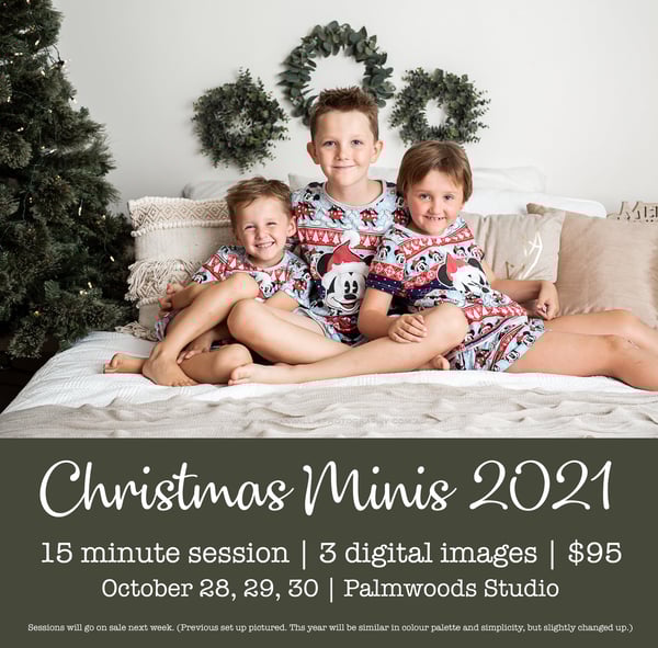 Image of Christmas Mini Sessions 2021