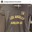 Los Angeles Abolish Ice Women's Crew and V Neck Cuts