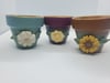 Pretty Petite Pots
