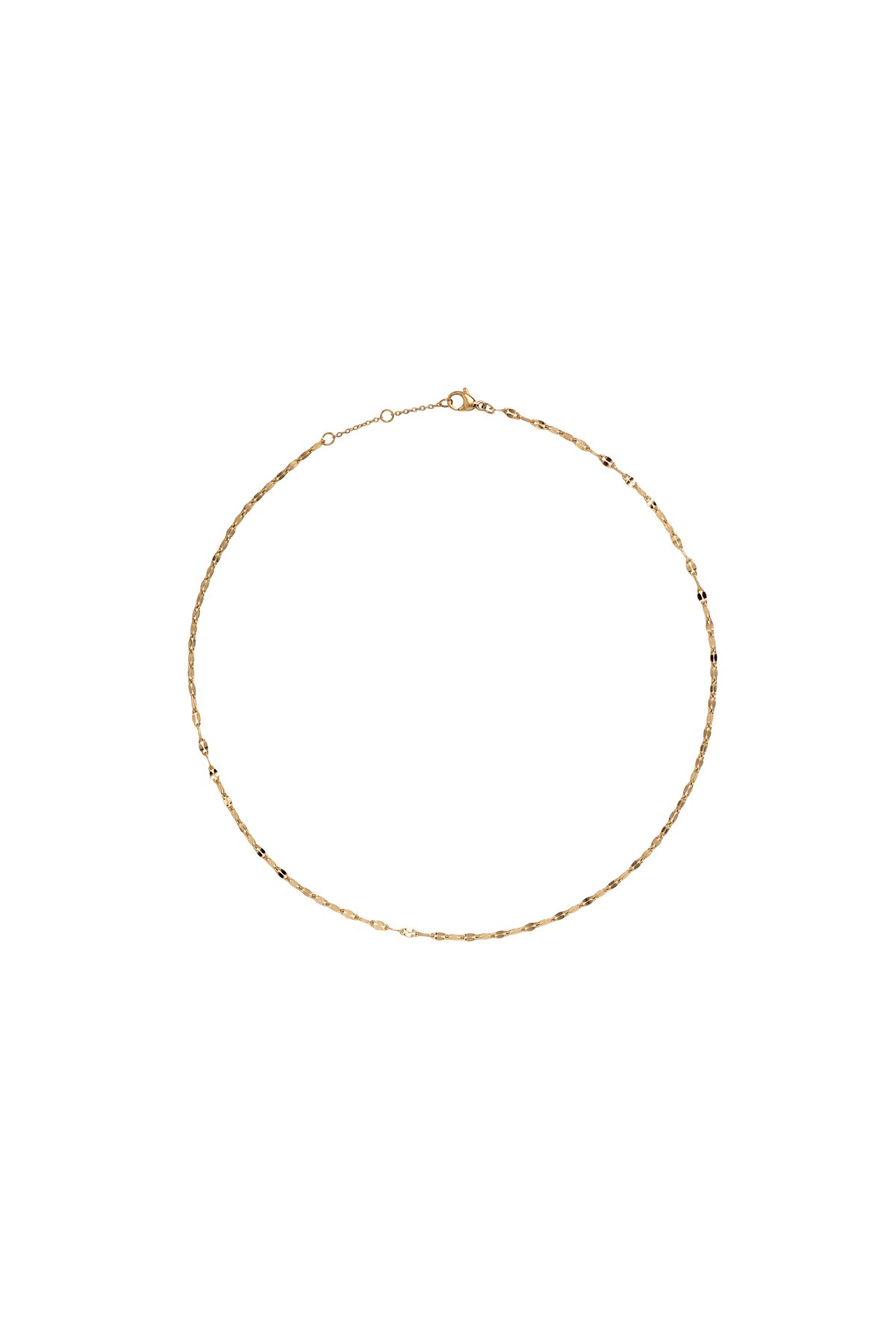 Image of Oz・gold choker