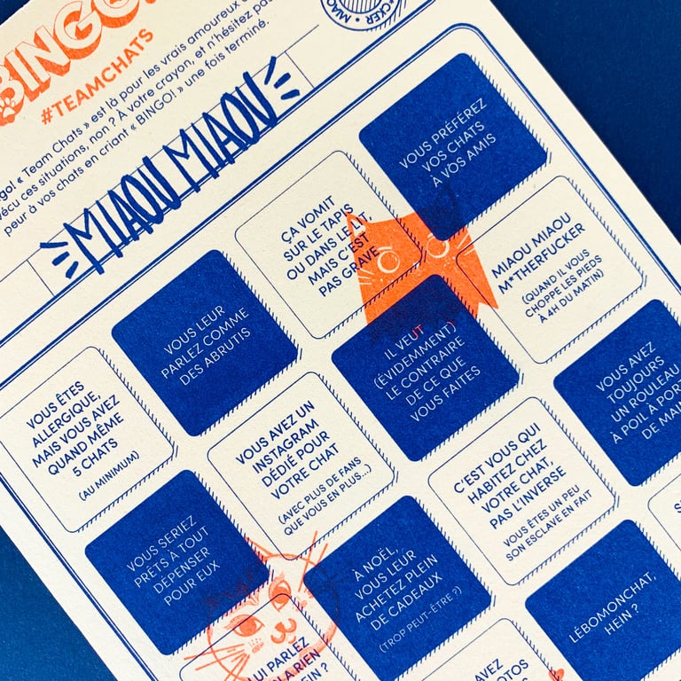Bingo ! Chat 🐈 Image 3