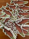 Salmon Sticker