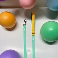 Image 4 of Nylon Leash