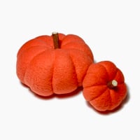 Image 3 of Pair of Pumpkins 