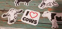 I love Cows Stickers (5 Pack)