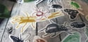 Multicolor Assorted Insect | Clear Frosted Stickers (22 Pack)