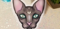 Image 2 of Pastel Spooky Hairless Moon Cat Sticker