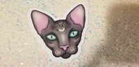 Image 3 of Pastel Spooky Hairless Moon Cat Sticker