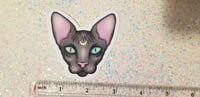 Image 4 of Pastel Spooky Hairless Moon Cat Sticker