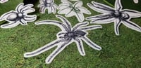 Image 4 of Multicolor Assorted Spiders | Clear Frosted Stickers (10 Pack)