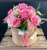 Image 3 of Soft elegance 
