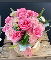 Image 2 of Soft elegance 