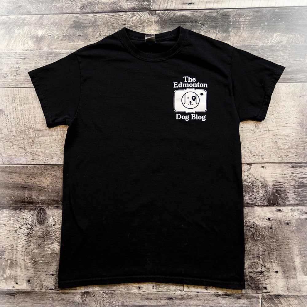 Image of TEDB Logo T-Shirt