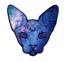 Galaxy Hairless Moon Cat Sticker