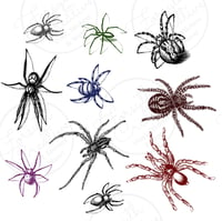 Image 5 of Multicolor Assorted Spiders | Clear Frosted Stickers (10 Pack)