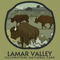 Image 2 of Lamar Valley