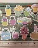 Assorted Mini Pastel Succulent Planter Stickers