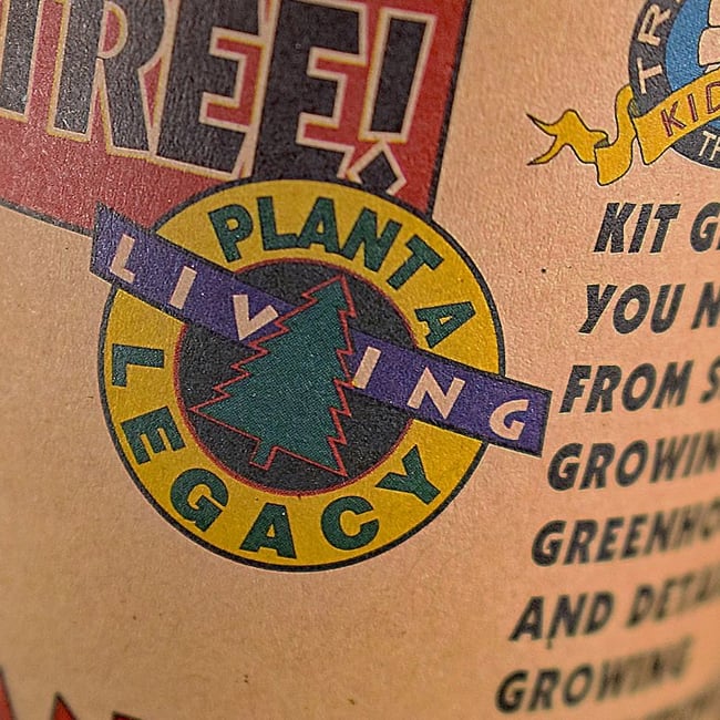 Giant Sequoia | Seed Grow Kit