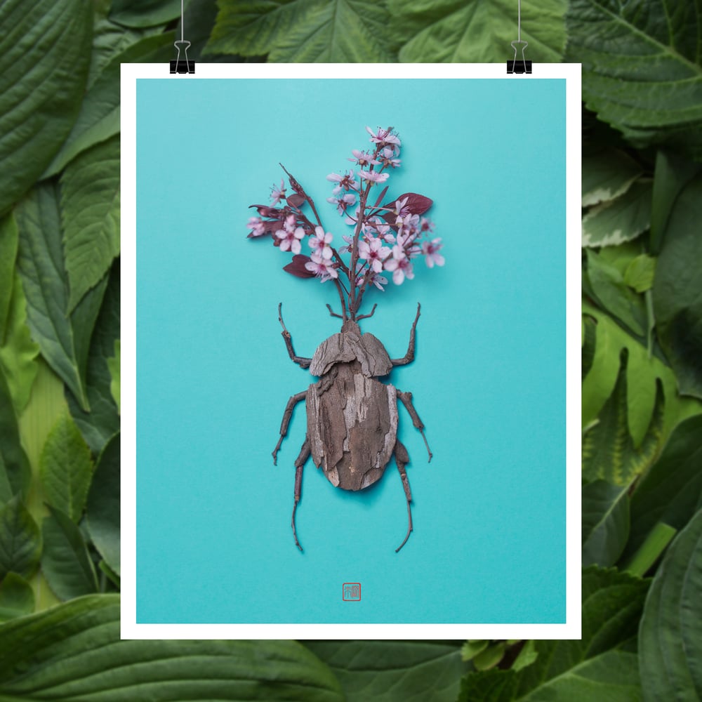 Image of Fine Art Print - Cherry Kabutomushi