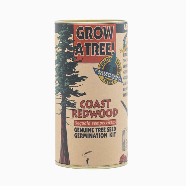 Coast Redwood | Seed Grow Kit