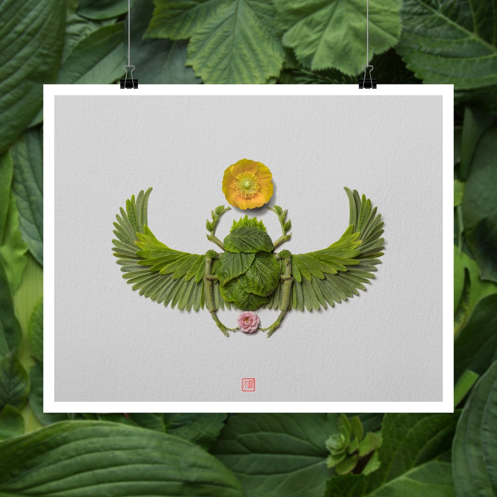 Image of Fine Art Print - Sun Scarab
