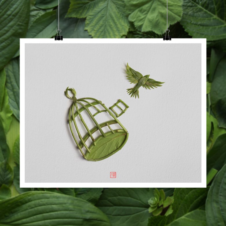 Image of Fine Art Print - Free Bird