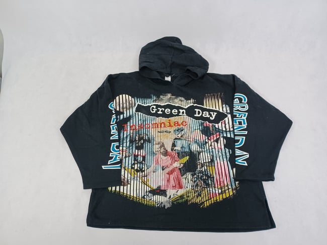 Vintage 1995 Green Day Hoodie