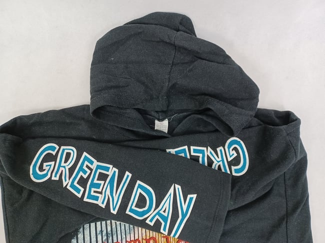 Vintage 1995 Green Day Hoodie