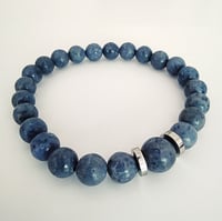 Image 3 of Blucorail