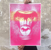 Image 1 of In the Time of Chimpanzees
