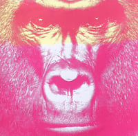 Image 3 of In the Time of Chimpanzees