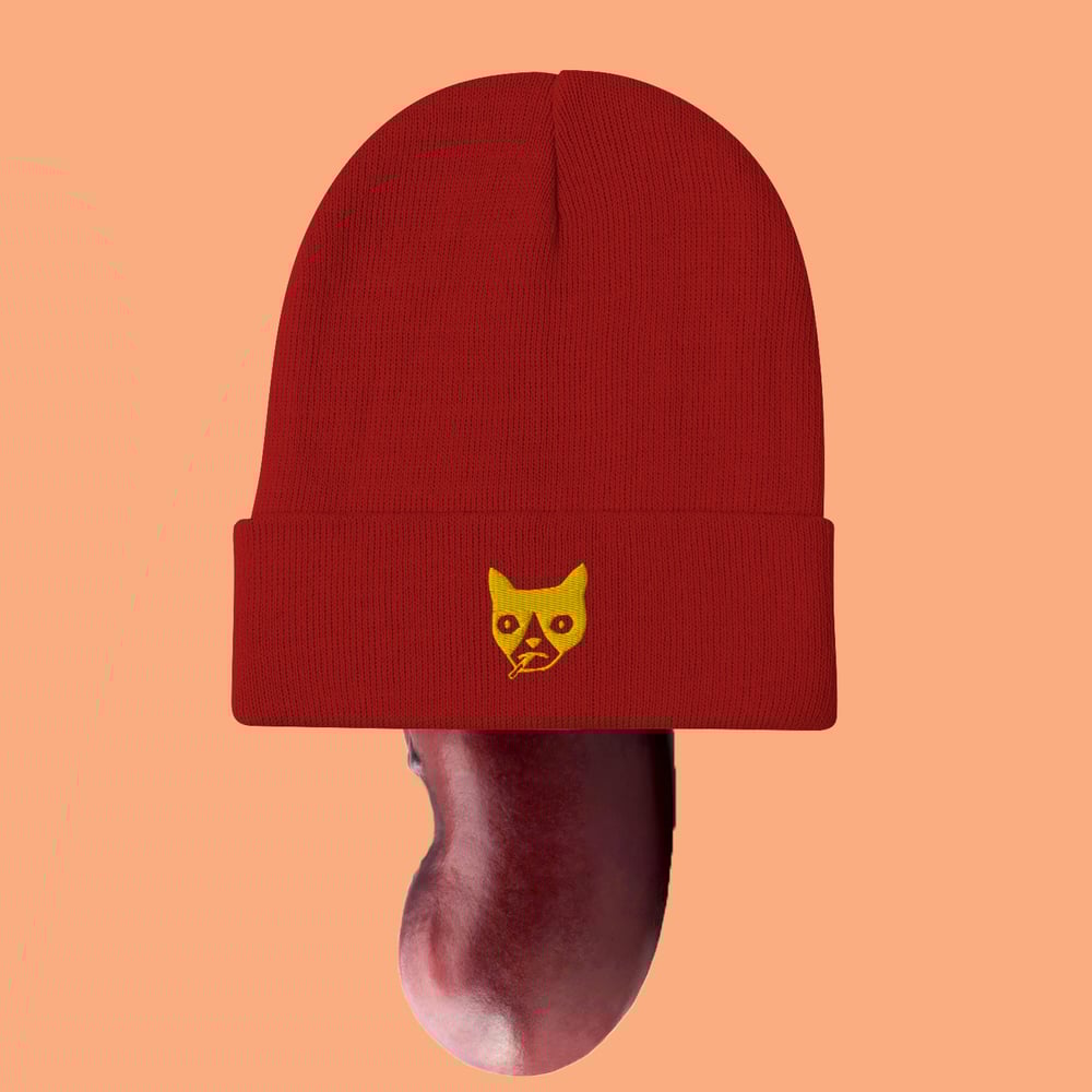 Image of Bendy Beanie