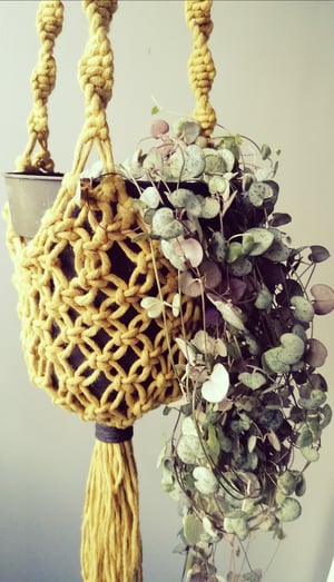 Macramé plant hanger in kiwi colour 