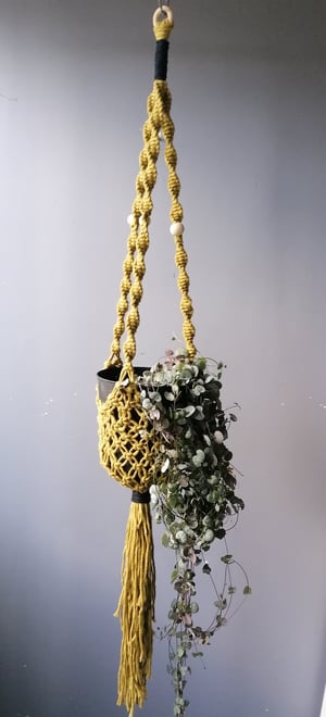 Macramé plant hanger in kiwi colour 