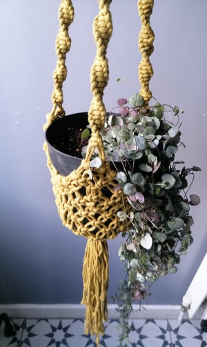 Macramé plant hanger in kiwi colour 