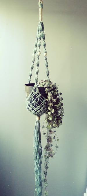 Macramé plant hanger in sage green colour ( laurel) 