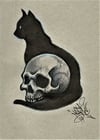 Cat with skull