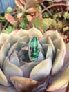 Green Turquoise & Silver