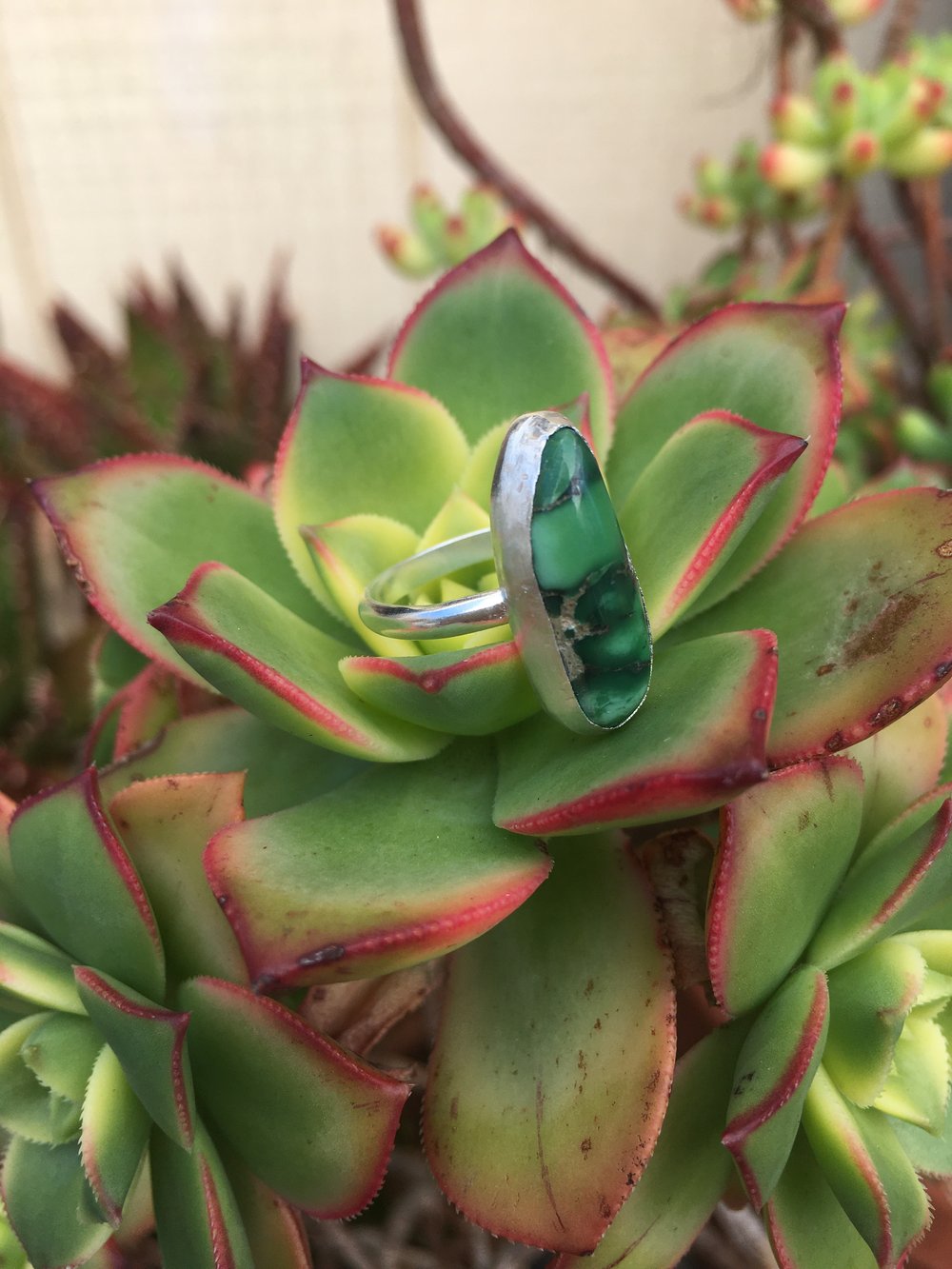 Image of Green Turquoise & Silver