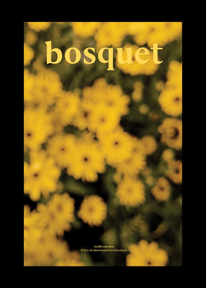 Image of Bosquet no.06 mémoire