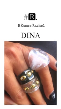 Image 1 of DINA
