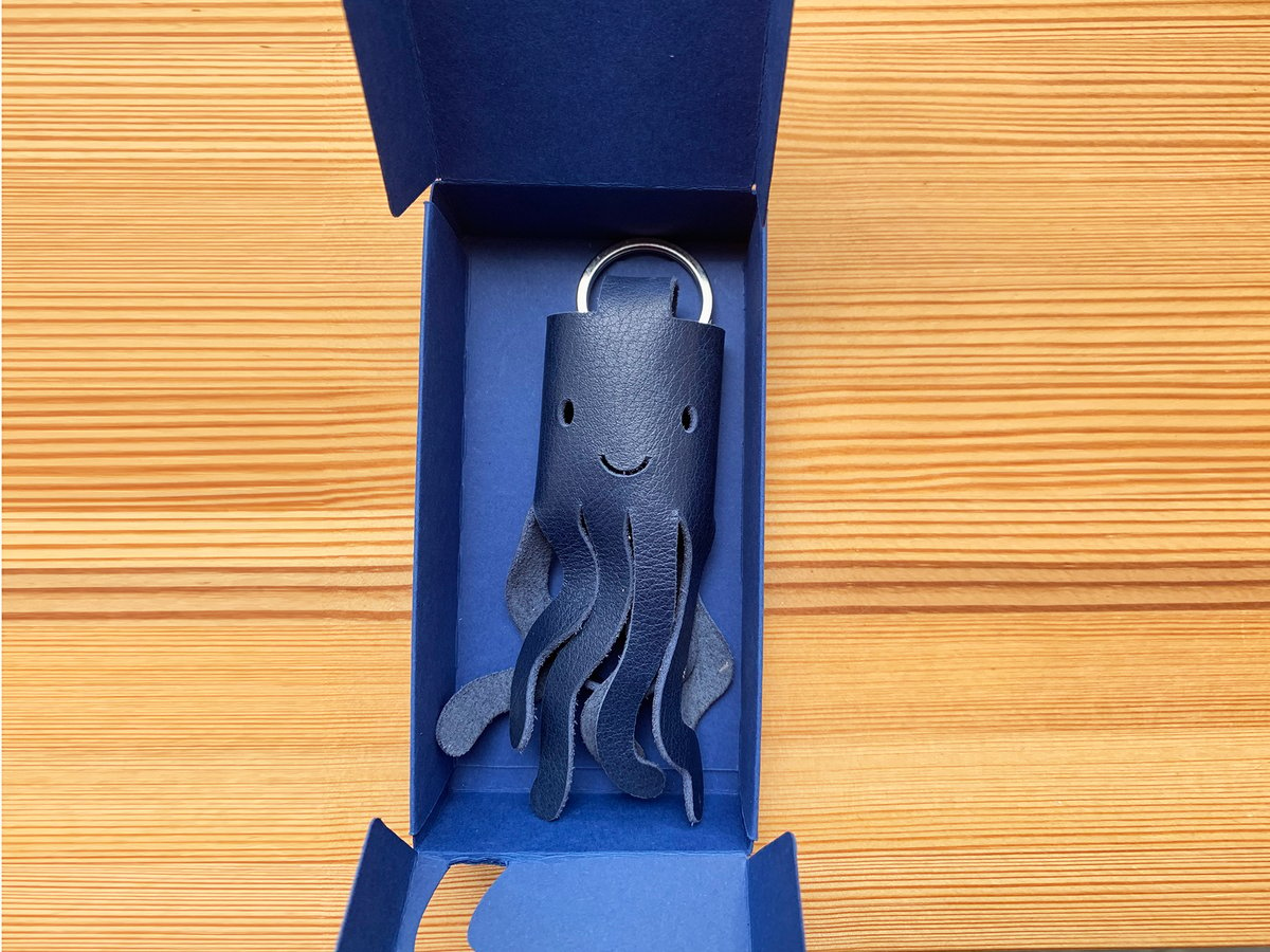 Image of Octopus Keyholder - to tag along with you....